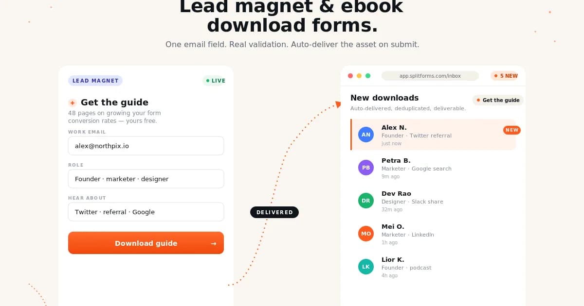 Lead Magnet Download Form (Ebook / PDF / Checklist Gate) — example splitforms template with submissions inbox
